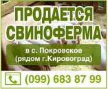 ������ ����������� ������������� 2700 ��.�. �. ����������. - ����������� 2