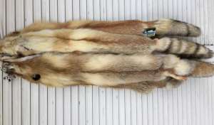 ������ ����������� ����������,����� � ����� - ����������� 1