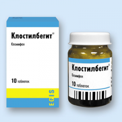 ������ ������������ - ����������� 1