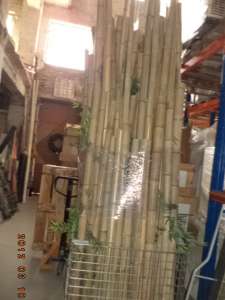 ������ ������������. - ����������� 1