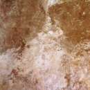 ������ ������������ STN Ceramica ������� - ����������� 2