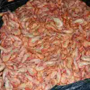 ������ ������������ �pe����� - ����������� 1