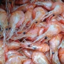 ������ ������������ �pe����� - ����������� 2