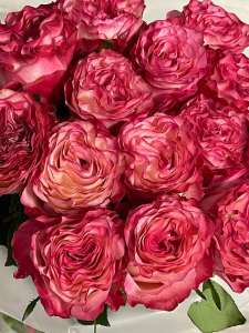 ������ ������������ �� ������ ����, ������� ������ - ����������� 1