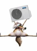 ������ ������������ - ��� ����. - ����������� 1