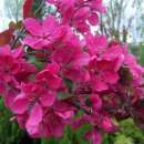 ������� � ����������: ������ ������������ ��� ����������