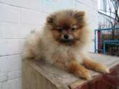 ������ ������������ ����� - ����������� 2