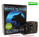 ������� � ����������: ������ ������������ ����� � ���� ��� �������� ���� � ��������