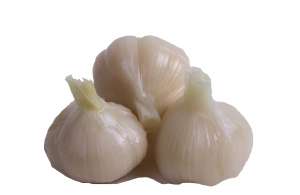 ������ ������������ ����� ������� - ����������� 1