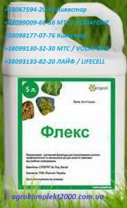 ������ ������������ ������ xl (�����), ����������� - ����������� 1