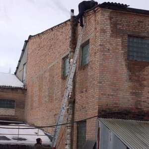 ������ ������������. ������ ���� - ����������� 1