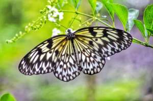 ������ ������������ ������ ����� ����� ����������� ������� - ����������� 1