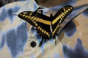 ������ ������������ ������ ����� ����� ����������� ������� - ����������� 1