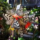 ������ ������������ ������ ����� ����� ����������� �������. ������/����� ������ - �������/�������