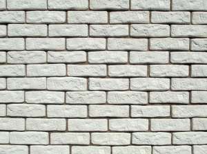 ������ ������������ ������ ������ - ����������� 1