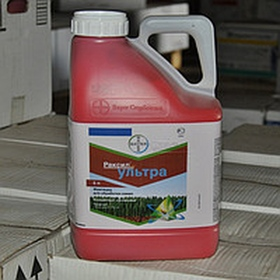 ������ ������������ ������ ������ - ����������� 1