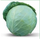 ������� � ����������: ������ ������������ ������� Honka F1 / ����� F1 ����� ������