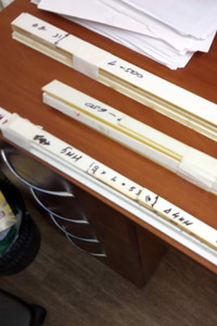 ������ ������������ ������� ����������� ����������� Zedex - ����������� 1