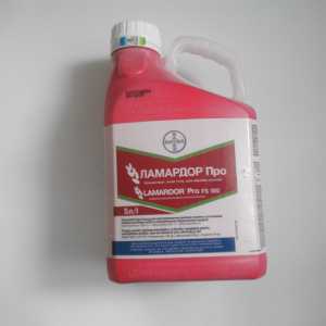 ������ ������������ �������� - ����������� 1