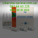 ������� � ����������: ������ �������-����� ���������� 1 �� ������, 6 ��., �������� �. �����, ����, ��������, ������, ����������, ����, �������