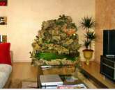 �����-� ������������ ������������ ���������, ����������,��������-����������� �����������. - ����������� 2