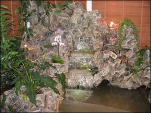 �����-� ������������ ������������ ���������, ����������,��������-����������� �����������. - ����������� 1