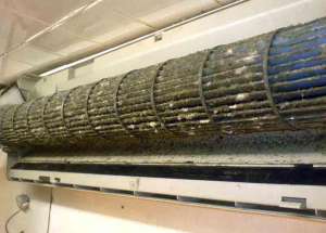 ������ ������������� - ����������� 1