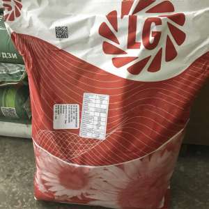 ������ ������������� Limagrain LG 5580 - ����������� 1