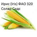 ������ ������������� � �������� ������� ����������� - ����������� 3