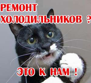 ������ ������������� �� ����� ������ ����� � ����� - ����������� 1