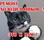 ������ ������������� �� ����� ������ ����� � �����. ������� ������ - ������