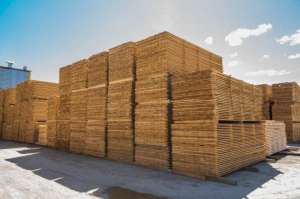 ������ ������������� ����� � � �������. ����, �����. - ����������� 1