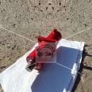 ������ ������������� �����, ���, ���, ���, ���, ���, ��, penta, hyva. ���������� - ����. ����. ���������