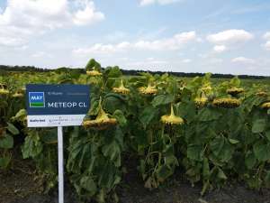 ������ ������������� ������ ��. ���� - ����������� 1