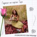 ������ ������������� ������ ������.