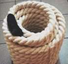 ������ �������������, ������ ������� - ����������