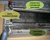 ������ �������������, ������, ������������ - ����������� 3