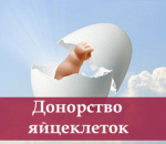 ������� � ����������: ������ ������������� ��������