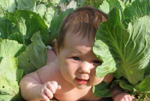 ������ ������������� �������� ���� ���������� ��� �� ������ ��������� - ����������� 1