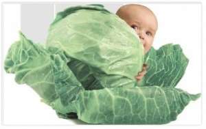 ������ ������������� �������� ������� ���������� ��� �� ������ ��������� - ����������� 1