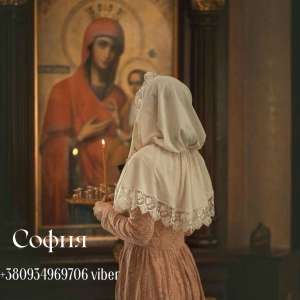 ������ ������������� �����������.������ ����� ���������.�������� ����. - ����������� 1