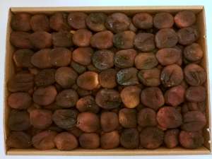 ������ �������������� - ����������� 1