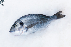 ������ �������������� ���� ������������ ����� - ����������� 1