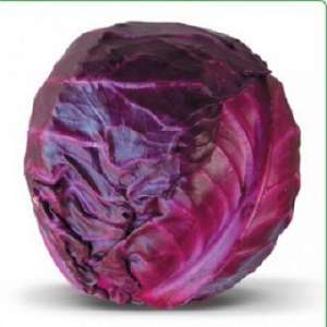 ������ �������������� ������� Kioto F1 / ����� F1 - ����������� 1