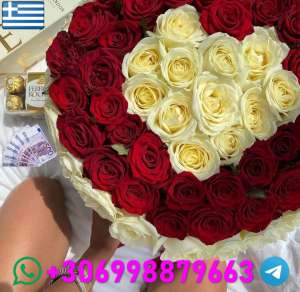 ������ - ��������������� ������� ��������� - ����������� 1