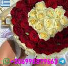 ������ - ��������������� ������� ��������� - ����������