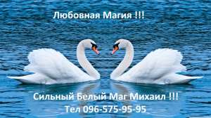 ������ ����,����������� �������� ,�������� �� ����,������ �����. - ����������� 1