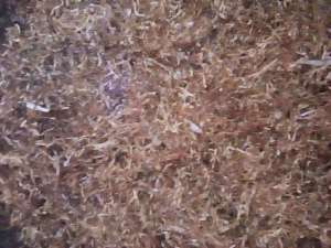 ������ ���������������� ����� ���� ��������� ���� / �����. ����. ������. - ����������� 1