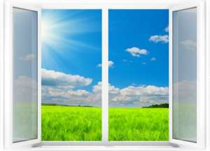 ������ ������������������ ���� � ������ - ����������� 1