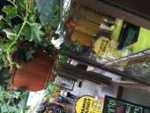 ������ �������-������������ ���������� - ����������� 2